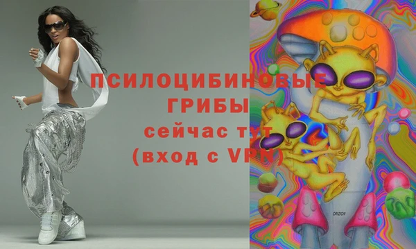 прущие крисы Абаза