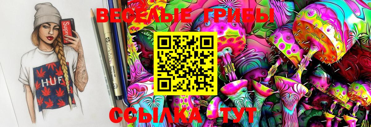 Галлюциногенные грибы GOLDEN TEACHER Саранск