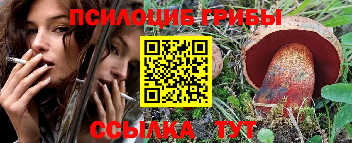 Псилоцибиновые грибы Psilocybine cubensis  Вход с VPN  Саранск  Галлюциногенные грибы прущие грибы 