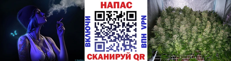 Бошки Шишки MAZAR  наркотики  Саранск 